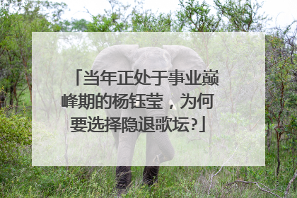 当年正处于事业巅峰期的杨钰莹,为何要选择隐退歌坛?