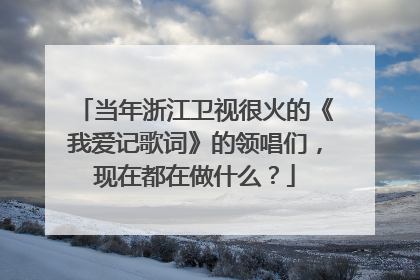 当年浙江卫视很火的《我爱记歌词》的领唱们,现在都在做什么?
