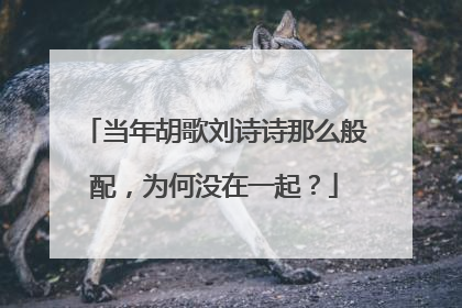 当年胡歌刘诗诗那么般配，为何没在一起？