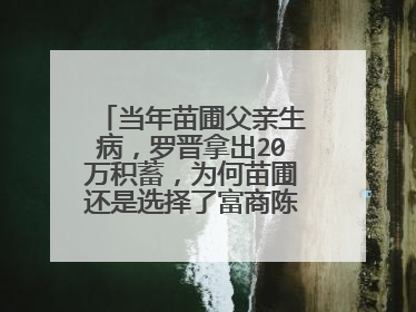 当年苗圃父亲生病，罗晋拿出20万积蓄，为何苗圃还是选择了富商陈义红？