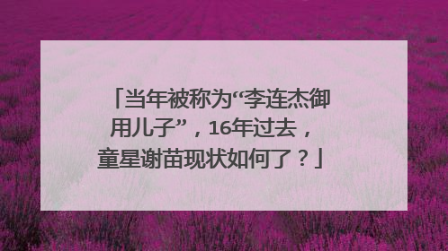 当年被称为“李连杰御用儿子”,16年过去,童星谢苗现状如何了?