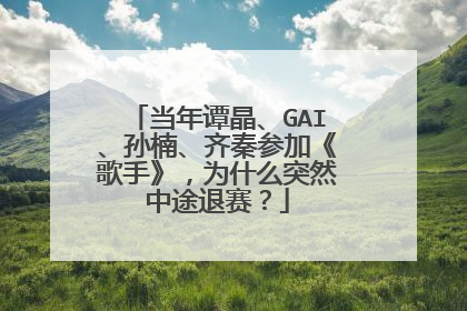当年谭晶、GAI、孙楠、齐秦参加《歌手》，为什么突然中途退赛？