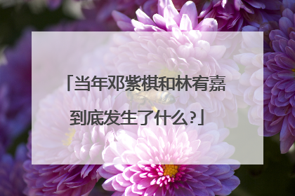 当年邓紫棋和林宥嘉到底发生了什么?