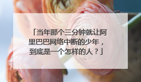 当年那个三分钟就让阿里巴巴网络中断的少年，到底是一个怎样的人？