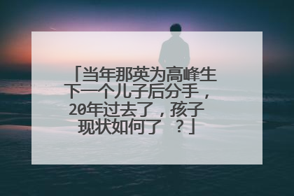 当年那英为高峰生下一个儿子后分手，20年过去了，孩子现状如何了 ？