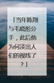 当年陈翔与毛晓彤分手,此后他为何淡出人们的视线了?