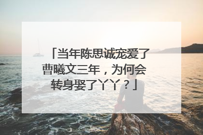 当年陈思诚宠爱了曹曦文三年,为何会转身娶了丫丫?