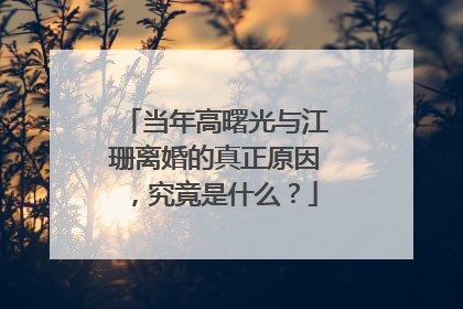 当年高曙光与江珊离婚的真正原因,究竟是什么?