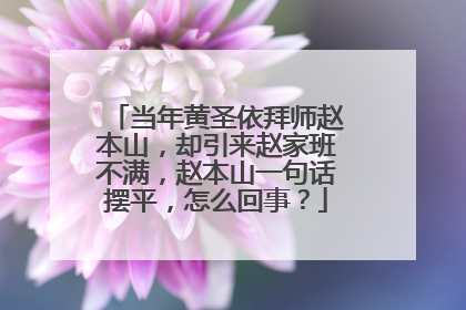 当年黄圣依拜师赵本山,却引来赵家班不满,赵本山一句话摆平,怎么回事?