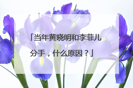 当年黄晓明和李菲儿分手，什么原因？
