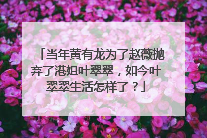 当年黄有龙为了赵薇抛弃了港姐叶翠翠,如今叶翠翠生活怎样了?