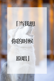 当我想你的时候原唱