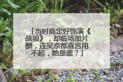 当时商定好饰演《战狼》,却临场加片酬,连吴京都直言用不起,她是谁?