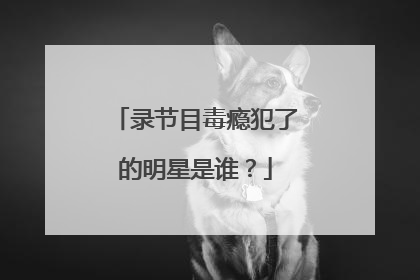 录节目毒瘾犯了的明星是谁?