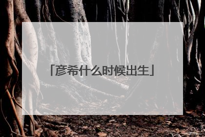 彦希什么时候出生