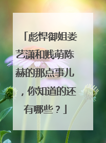 彪悍御姐娄艺潇和贱萌陈赫的那点事儿，你知道的还有哪些？