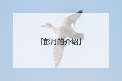彭丹的介绍
