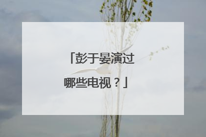 彭于晏演过哪些电视？