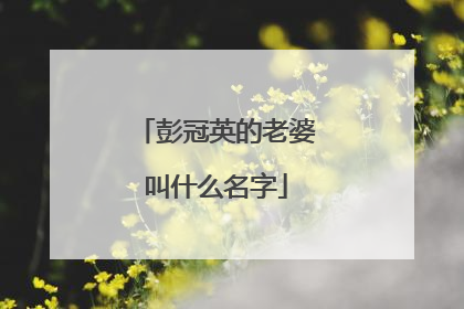 彭冠英的老婆叫什么名字