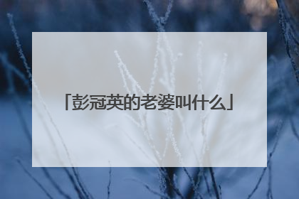 彭冠英的老婆叫什么