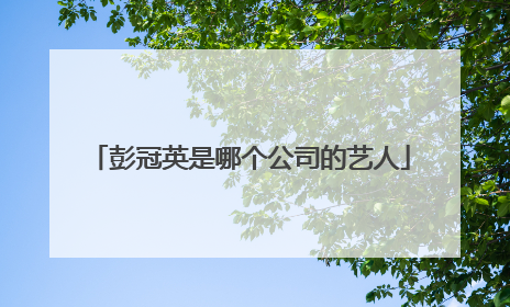 彭冠英是哪个公司的艺人