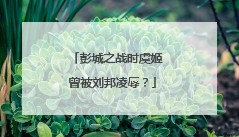 彭城之战时虞姬曾被刘邦凌辱?