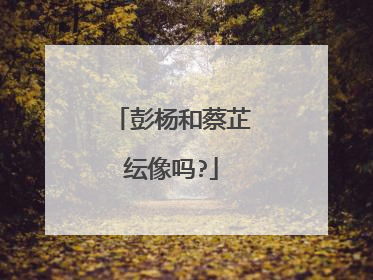 彭杨和蔡芷纭像吗?