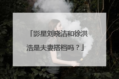 影星刘晓洁和徐洪浩是夫妻搭档吗？