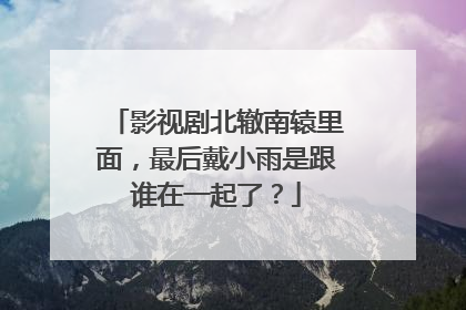 影视剧北辙南辕里面，最后戴小雨是跟谁在一起了？