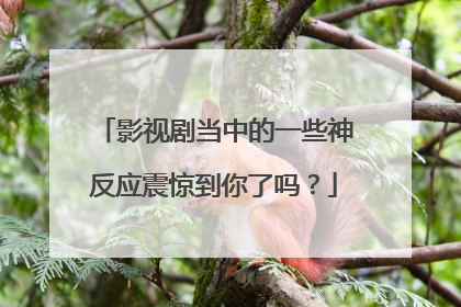 影视剧当中的一些神反应震惊到你了吗？
