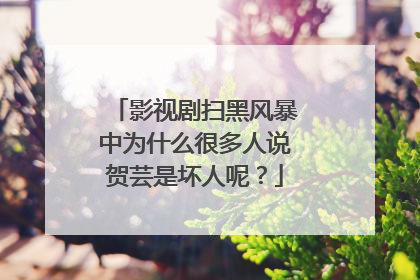 影视剧扫黑风暴中为什么很多人说贺芸是坏人呢?