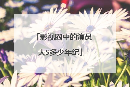 影视圈中的演员大S多少年纪