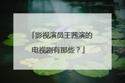 影视演员王茜演的电视剧有那些？