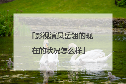 影视演员岳翎的现在的状况怎么样
