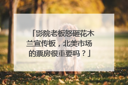 影院老板怒砸花木兰宣传板，北美市场的票房很重要吗？
