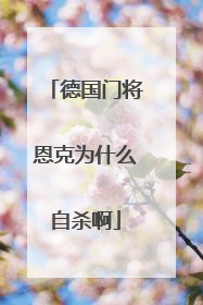 德国门将恩克为什么自杀啊