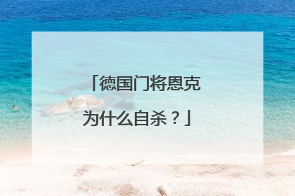 德国门将恩克为什么自杀？