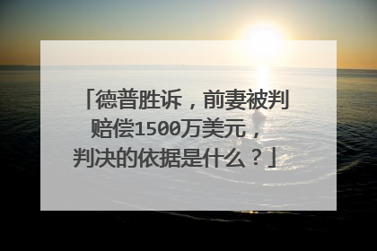 德普胜诉,前妻被判赔偿1500万美元,判决的依据是什么?