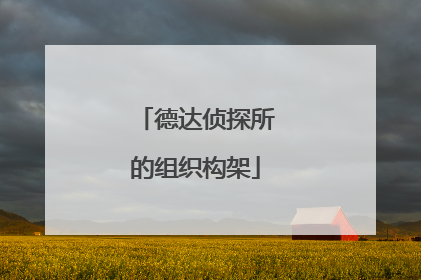 德达侦探所的组织构架