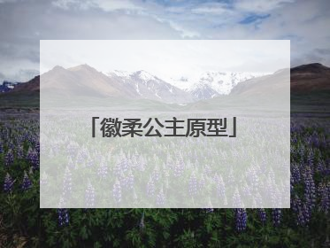 徽柔公主原型