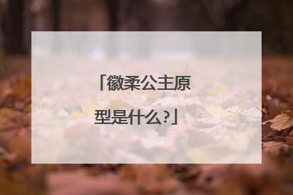 徽柔公主原型是什么?