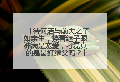 待何洁与前夫之子如亲生,搂着继子眼神满是宠爱,刁磊真的是最好继父吗?