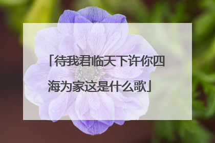 待我君临天下许你四海为家这是什么歌