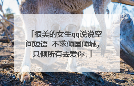 很美的女生qq说说空间短语 不求倾国倾城,只倾所有去爱你.