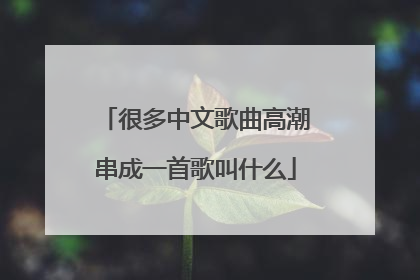 很多中文歌曲高潮串成一首歌叫什么