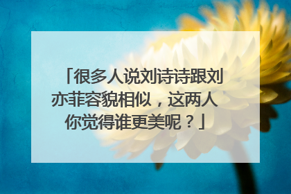 很多人说刘诗诗跟刘亦菲容貌相似,这两人你觉得谁更美呢?