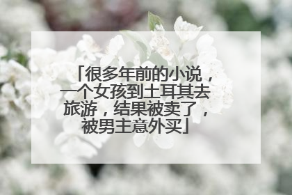 很多年前的小说，一个女孩到土耳其去旅游，结果被卖了，被男主意外买