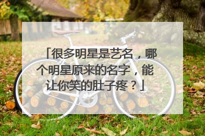 很多明星是艺名，哪个明星原来的名字，能让你笑的肚子疼？