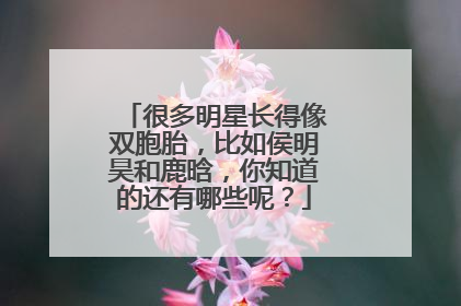 很多明星长得像双胞胎,比如侯明昊和鹿晗,你知道的还有哪些呢?