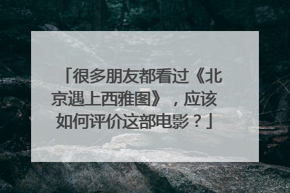 很多朋友都看过《北京遇上西雅图》,应该如何评价这部电影?